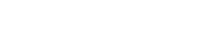 Payload Logo